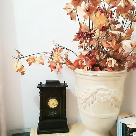 Apartment Basilika
